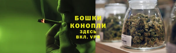 PSILOCYBIN Баксан