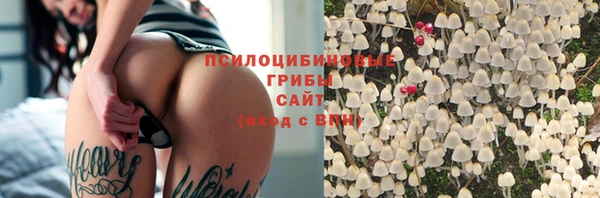 PSILOCYBIN Баксан