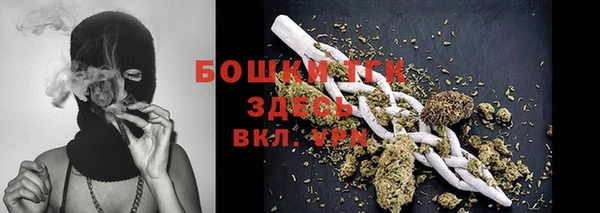 PSILOCYBIN Баксан