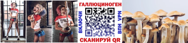 Псилоцибиновые грибы ЛСД  Купить закладки  Кола 